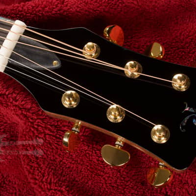 B.C. Rich Acoustic Cutaway 6 -String - Spalted Maple - W/Matrix Infinity VT & Hardcase image 6