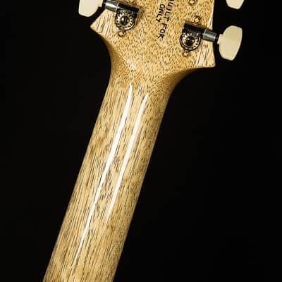 PRS Guitars Wildwood Wood Library Modern Eagle V - Brazilian Rosewood, 10-Top image 3