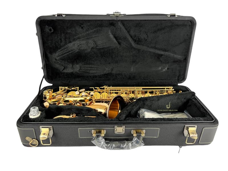 Yanagisawa AWO20UL Unlacquered Bronze Elite Alto Saxophone New In Box! image 1