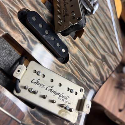 2013 Chris Campbell Custom Shop Super Strat Owned & Played by Fish Electric Guitar Grey Quilt + OHSC image 23