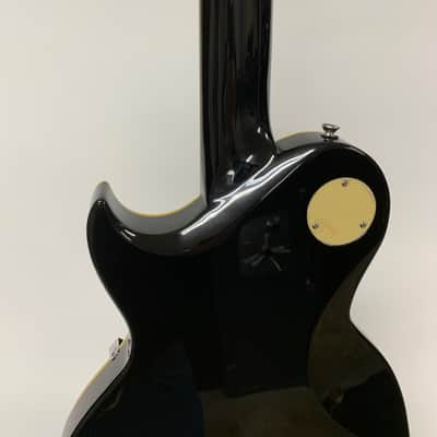 Aria Pro II PE 350 2025 - Aged Black image 8