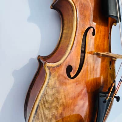 Fine Italian labeled Violin Stefano Scarampella di Brecia Fece In Mantova 1855 image 23