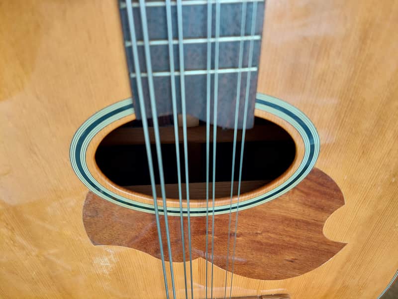 Suzuki MC-836 Mandocello / Mandoloncello | Reverb