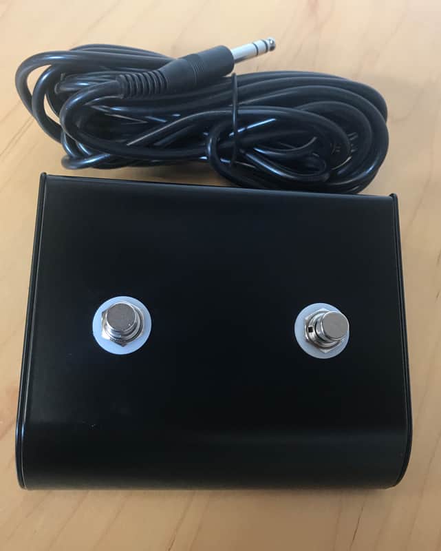 GAPco 2 Button Foot Switch with 15ft Cable (SKU2001) image 1