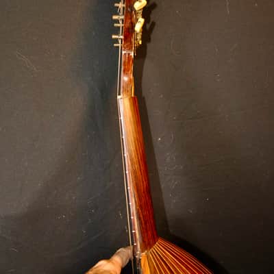 Vintage 1925 Prof. Raffaele Calaci Mandolin image 21