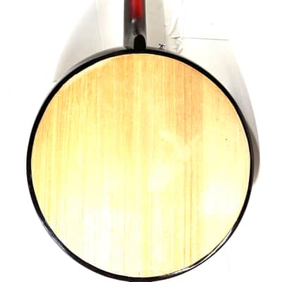 Awesomesauce electrified Yueqin electric noise instrument The Electric Moon Lute 2025 - Wood image 8
