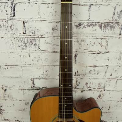 Vision HD-20CE NA Herringbone Dreadnought Acoustic-Electric Guitar image 4