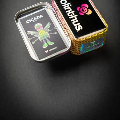 Olinthus Cicada Overdrive imagen 3