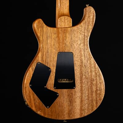 PRS Modern Eagle V 10-Top - Carroll Blue image 12