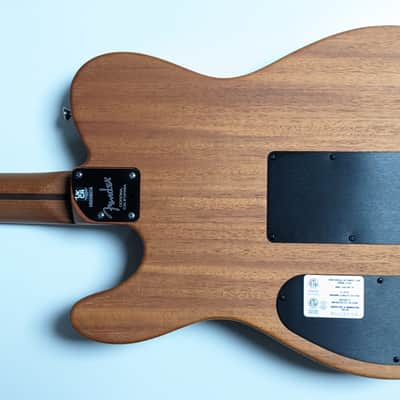 Fender Acoustason Telecaster image 17