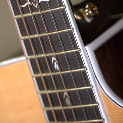 Cort Gold-OC8 OM Cutaway Acoustic Guitar All Solid Fishman image 5