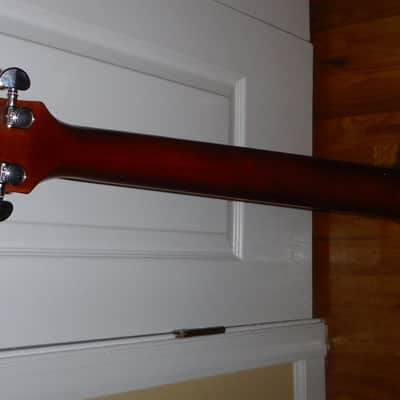 Chibson Les Paul Clone image 5