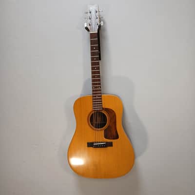 1995 Washburn D-68SW w/ Hard Shell Case image 3