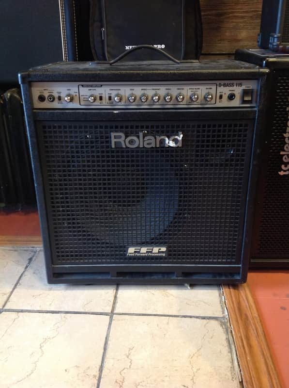 Roland D-Bass 115 Bass Combo Amp | Reverb