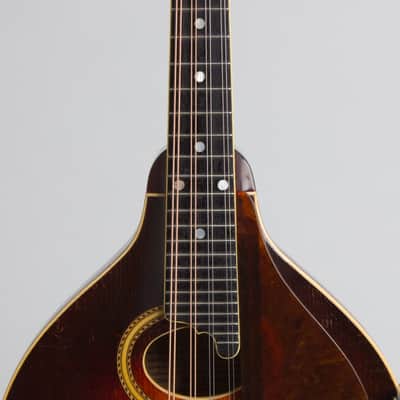 Gibson A-4 Carved Top Mandolin (1928), ser. #84006, original black hard shell case. image 8