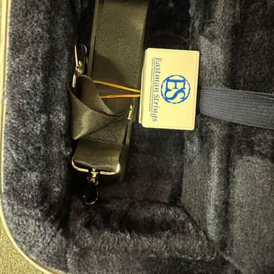 Eastman VA80 15.5 outfit w/rosin, bow, and hardcase image 5