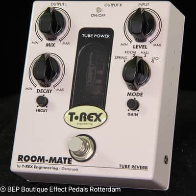 T-Rex Room-Mate 2010s s/n RM5012 image 5