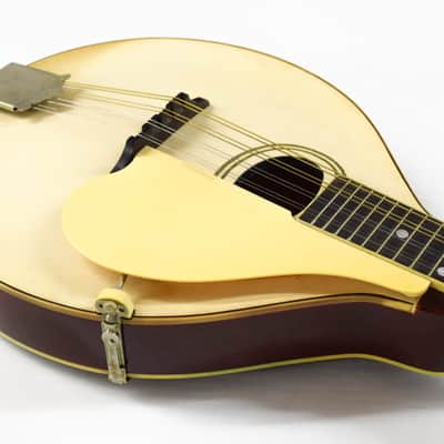 Gibson A-3 Mandolin 1919 - Ivory image 6