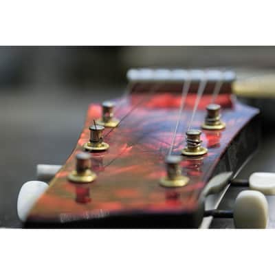 1950s Framus Electra Lapsteel Black Rose (sunburst) image 15