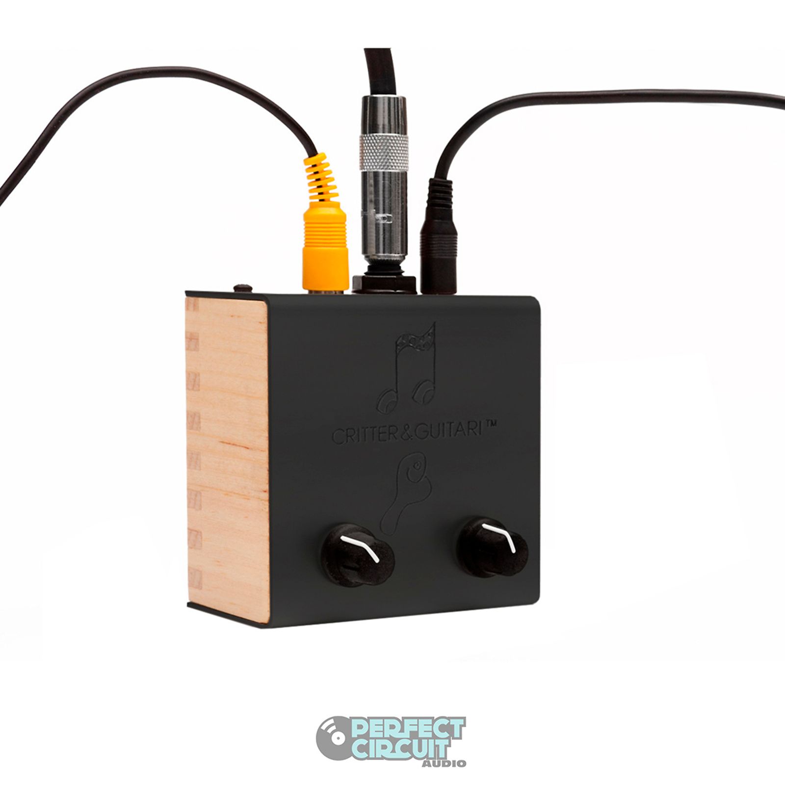 Critter & Guitari Black and White Video Scope | Reverb