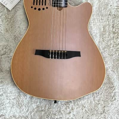 Godin Multiac ACS Nylon Natural SG Nylon String Performance Guitar 032150 image 1