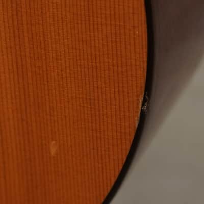 Used Cordoba DOLCE Solid Top Acoustic Guitar Natural image 2