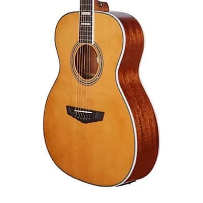D'Angelico Premier Tammany with Electronics, Vintage Natural image 6