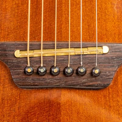 Daion The Year Series '81 Caribou - Brown (BR) - Electric Acoustic Six String image 5