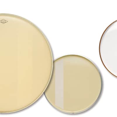 Aquarian 14'' Modern Vintage Medium Drumhead image 1