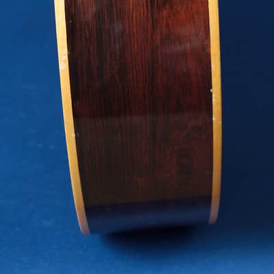 Giannini Craviola AWKNS6 / Nylon String and Bossa Ready! image 20
