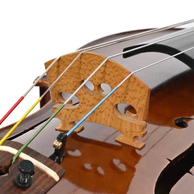 Alexander Oosten Rijswijk 1973 Alto Violin image 12