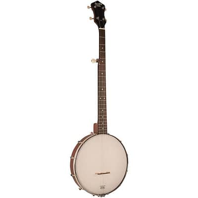 Immagine Recording King Dirty 30s Open Back Banjo - 4