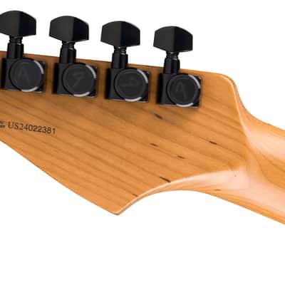 Fender LTD  American Professional II Stratocaster HSS HT Roasted Maple - Smoke image 5
