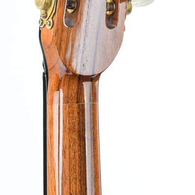 Gallato Limited Selmer Paris No. 526 Gypsy Guitar 2004 image 9