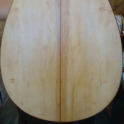 Hurdy Gurdy image 9