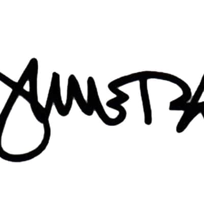 Sticker Vinyl White Autograph Dimebag Darrell Pantera Guitar Vinyl image 3