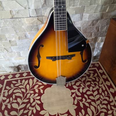 Hola! HM SB with gig bag image 5