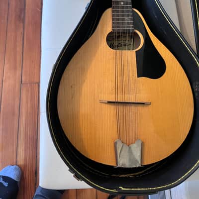 Montana ELM 100 A-Style Mandolin by Kaman Music Corporation — Made in Romania — w/ Hard Case image 4