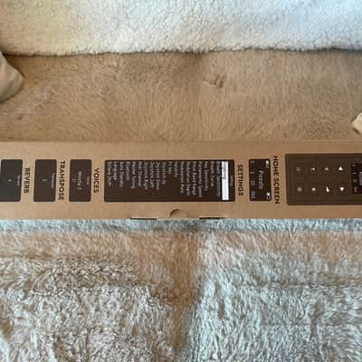 Carry-on Digital Wind Instrument 2022 - Present - White image 5