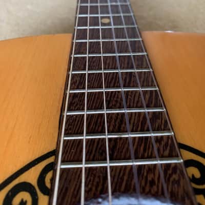 Eko Studio L 1960's Vintage parlour acoustic guitar image 5