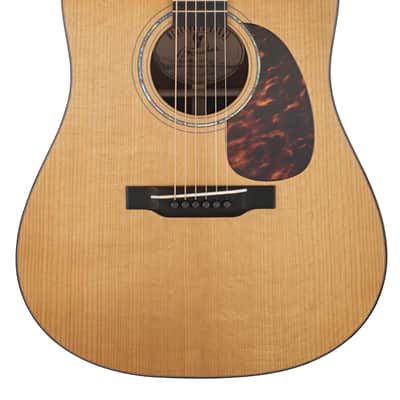 Boucher BG-42T-GM Guitar #MYT-1071-DB image 1