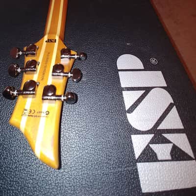 2009 ESP LTD FX-401SM Spalted Maple Natural image 8