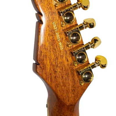 Feather Guitars Warbler Pro 2023 - Blue Nitro image 6