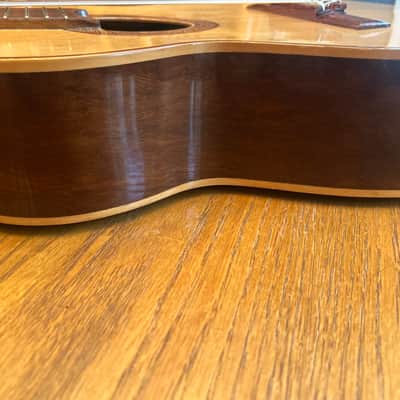 1978 Giannini AWN-21 - Natural Brazilian Rosewood/Jacaranda image 13