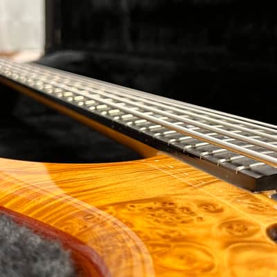 Alembic Series I 1999 image 8