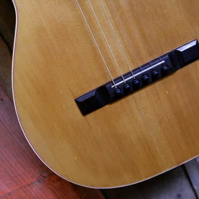 Washburn Model 1897 #111 Parlor Guitar 1903-1904 - Natural image 10