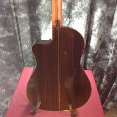 Cordoba Fusion 14 Rose w/ Solid Rosewood Top - Fishman Presys Preamp - Tuner & Premium Gigbag #25295 image 16