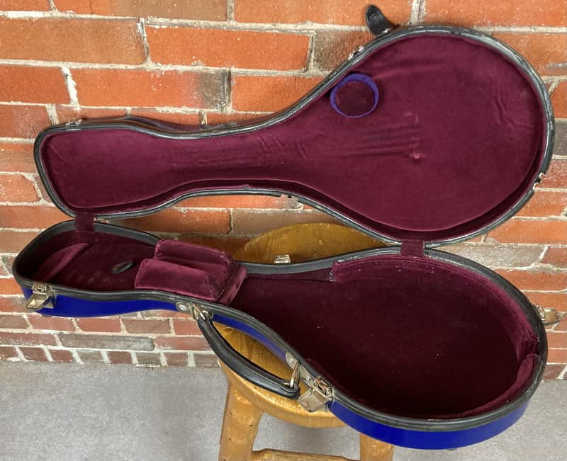 Pegasus A Mandolin Case - Blue image 1