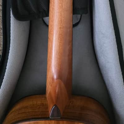 Kala KA-SCAC-B8 8 String Baritone Ukulele "Horace" image 4
