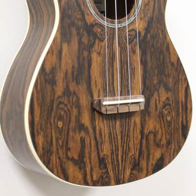 Fender Zuma Exotic Concert Ukulele image 2